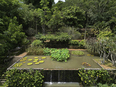 fazenda vargem grande burle marx