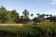 fazenda vargem grande burle marx