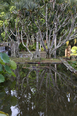 fazenda vargem grande burle marx